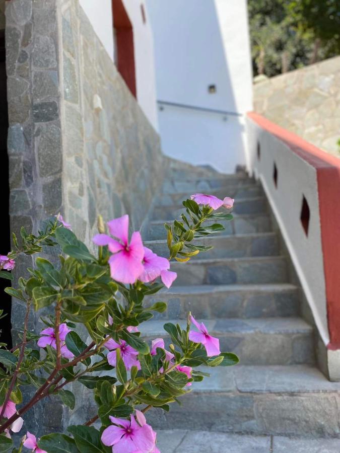 Archontika Apartments Kerames Dış mekan fotoğraf