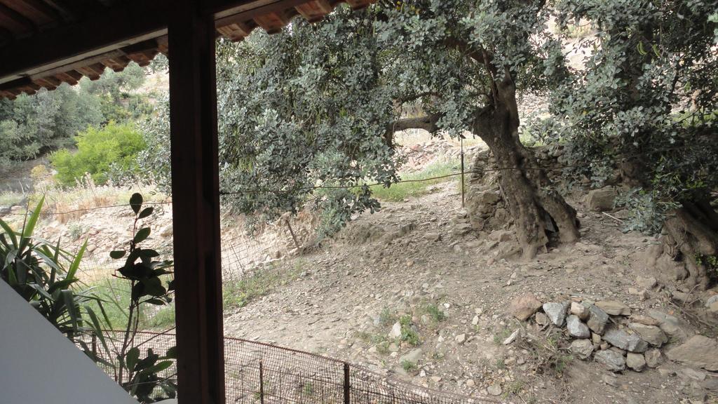 Archontika Apartments Kerames Dış mekan fotoğraf
